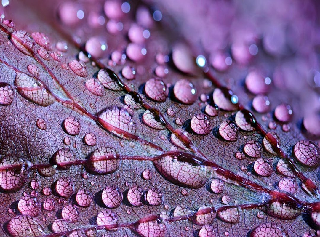 Uggcontroman Controller Special Settings