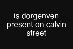 is dorgenven present on calvin street